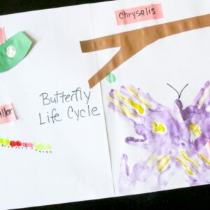 Make the butterfly life cycle with watercolor handprints. Butterfly preschool craft.