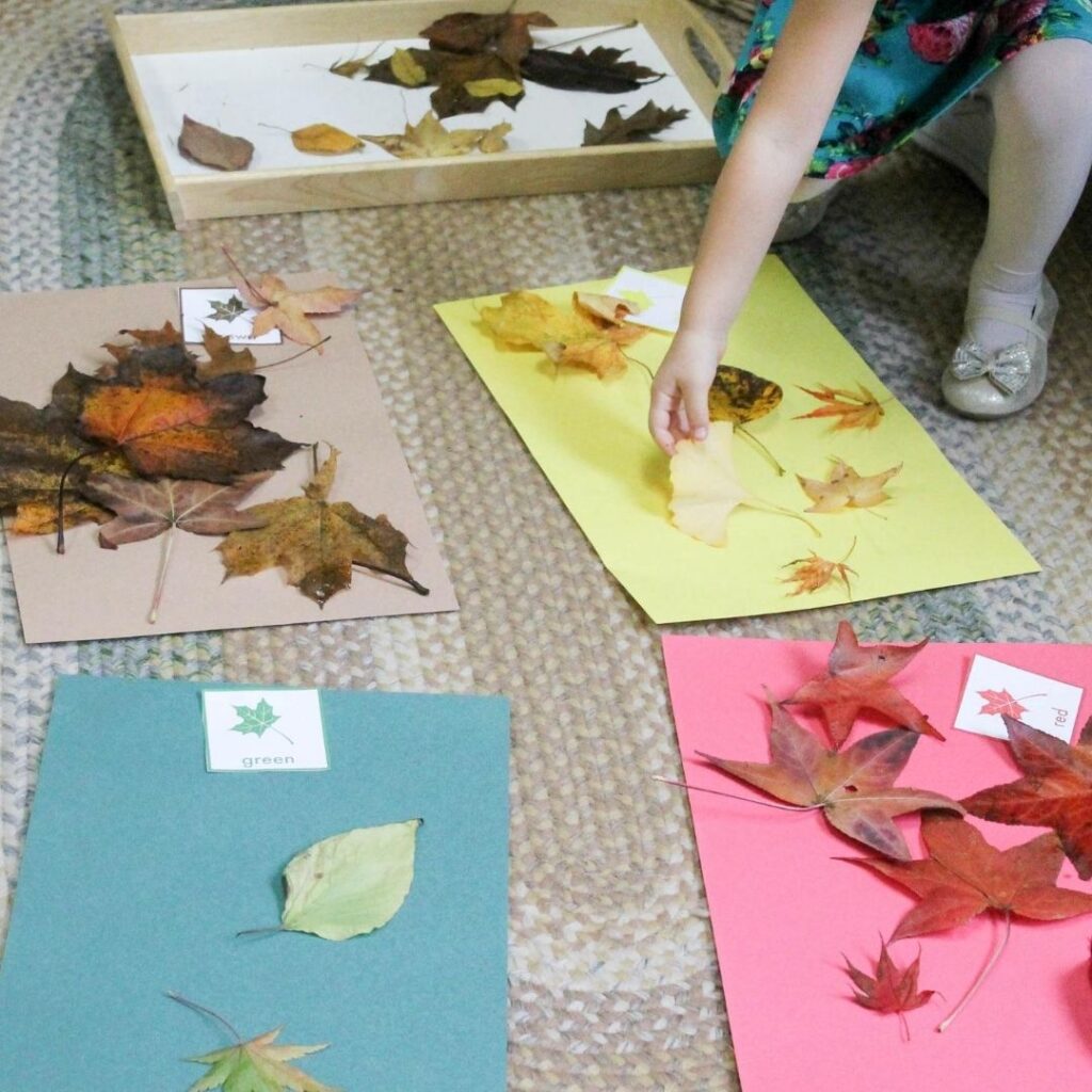 Sorting and classifying fall leaves by color