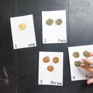 Touch and feel numbers five senses preschool math activity.