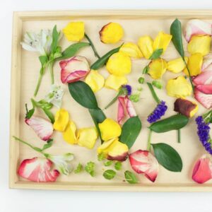 Tray with flowers and leaves to practice cutting.