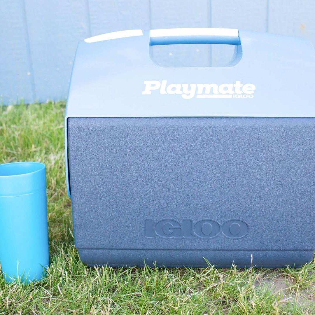 Cooler and cup for a summer picnic.