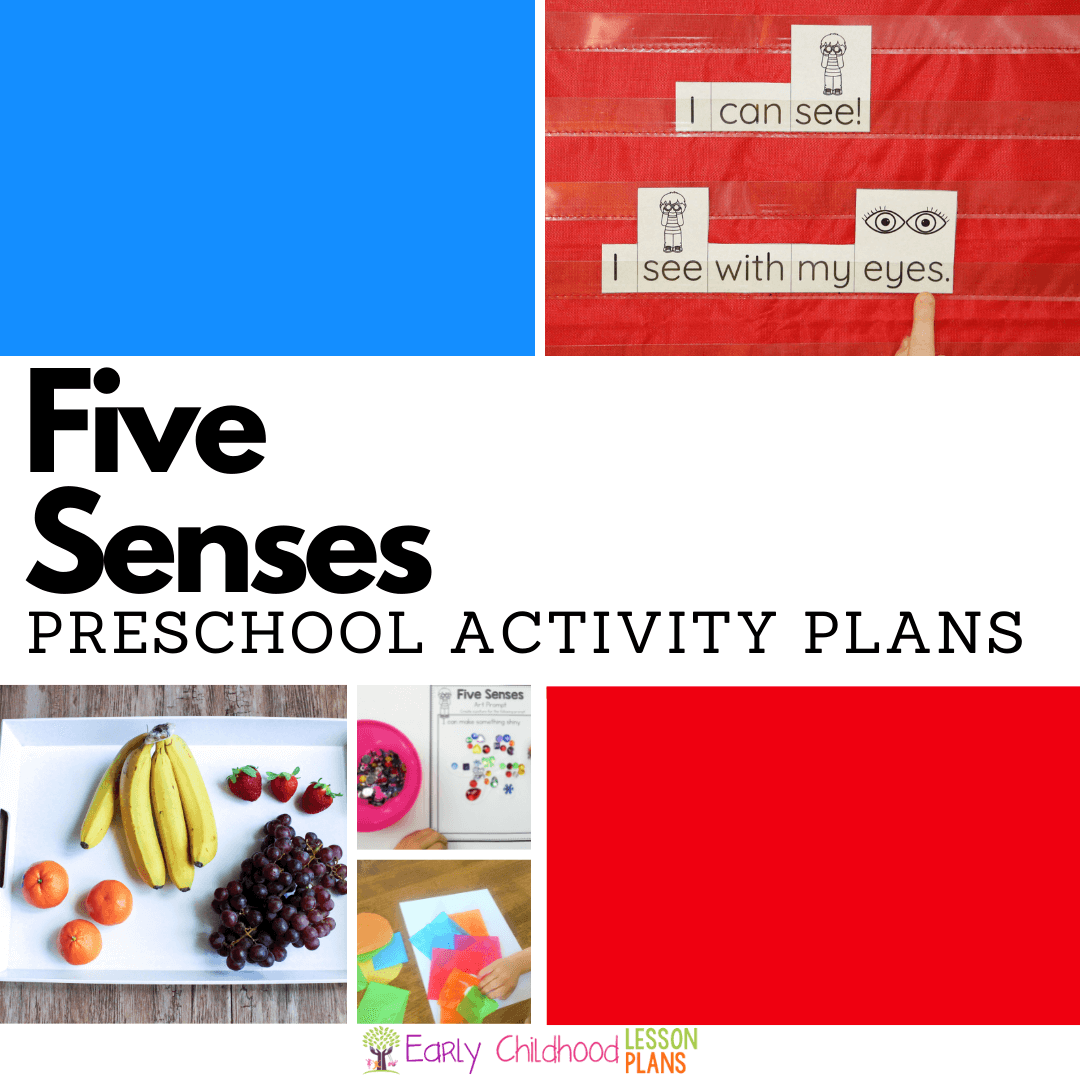 Preschool Five Senses Theme Activity Plans