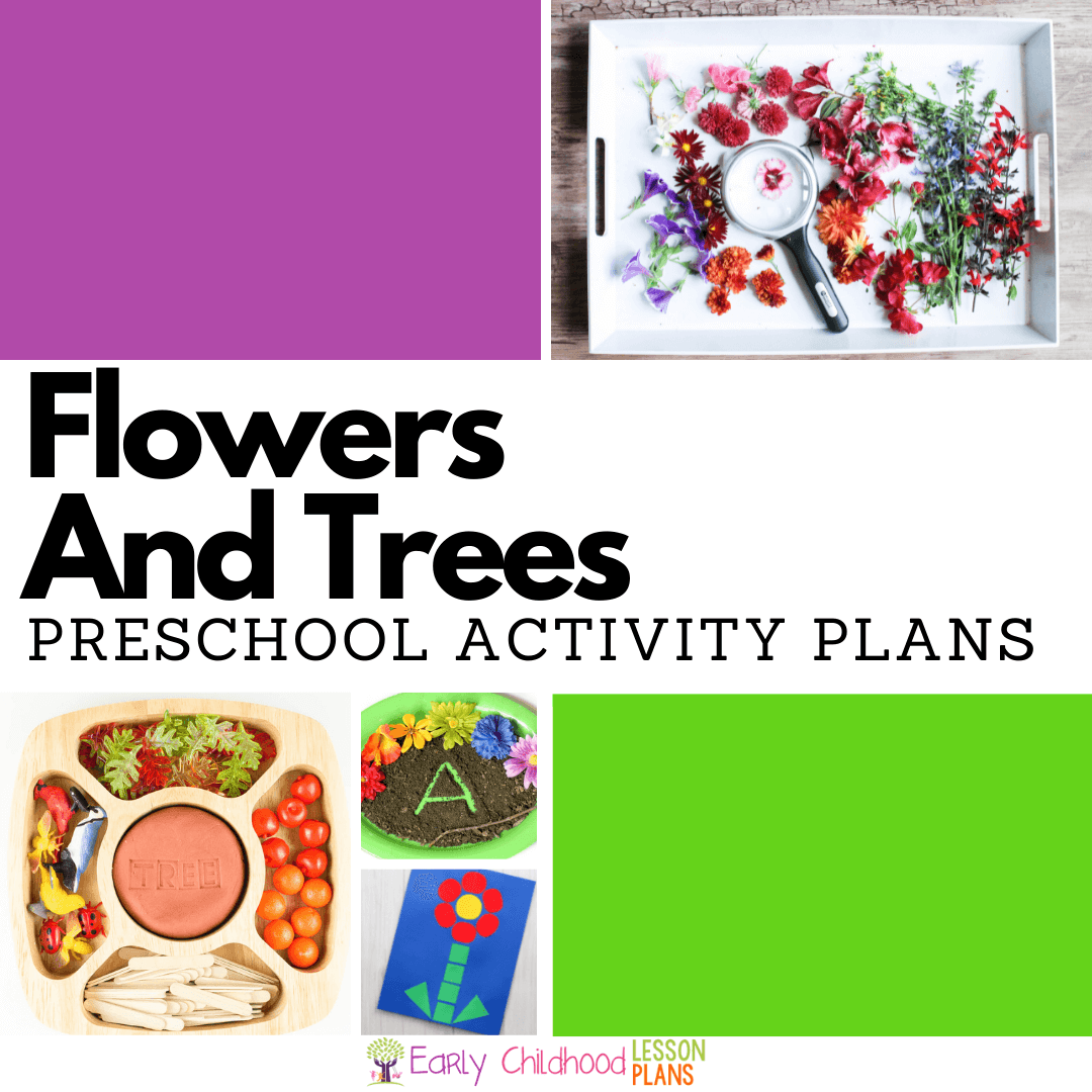 Preschool Flowers and Trees Theme Activity Plan